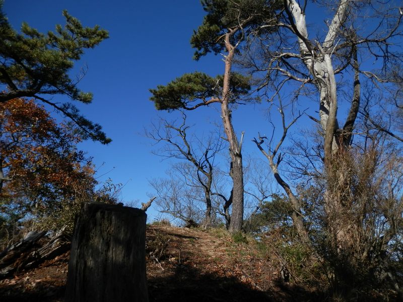 弁天御髪尾根 -- さようなら、中弁天