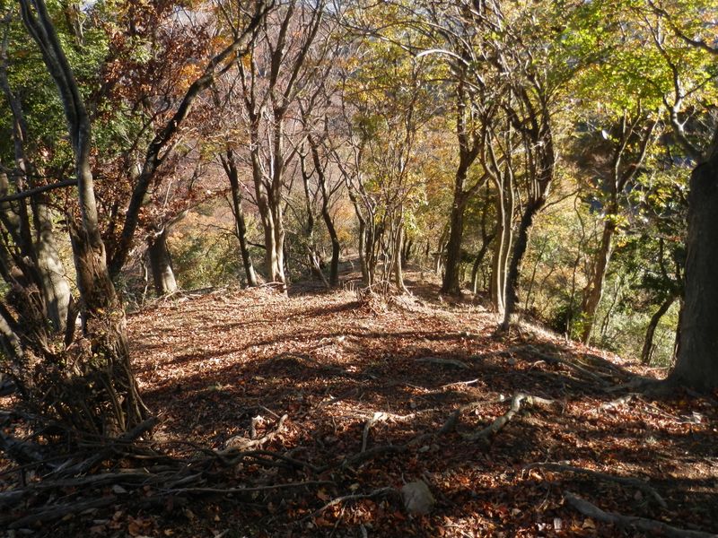 下弁天からまた急斜面を下る