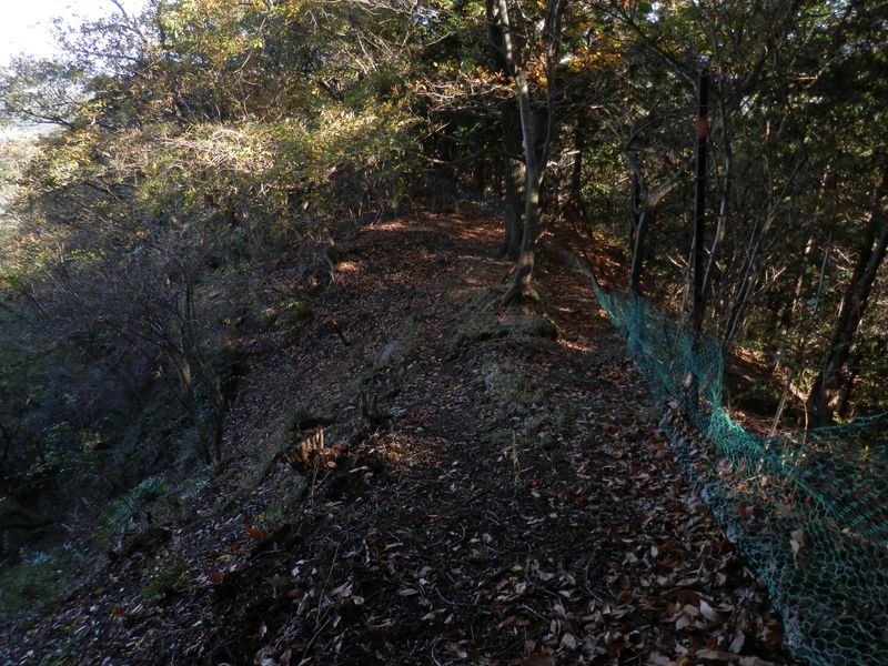 見晴広場から鹿柵に沿って尾根を下る