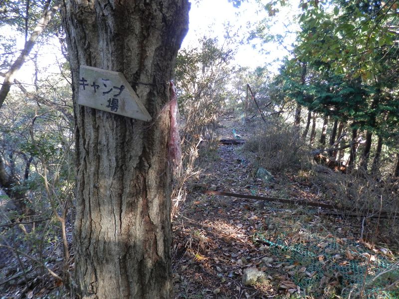 倒れた鹿柵ゲートをくぐる