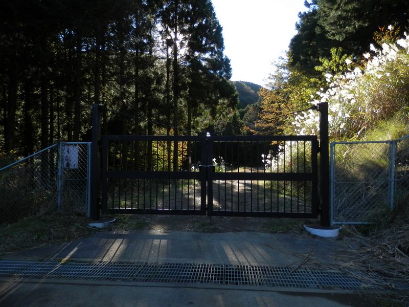 このゲートは、右から回り込める