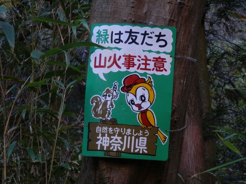 この標識、新しそう