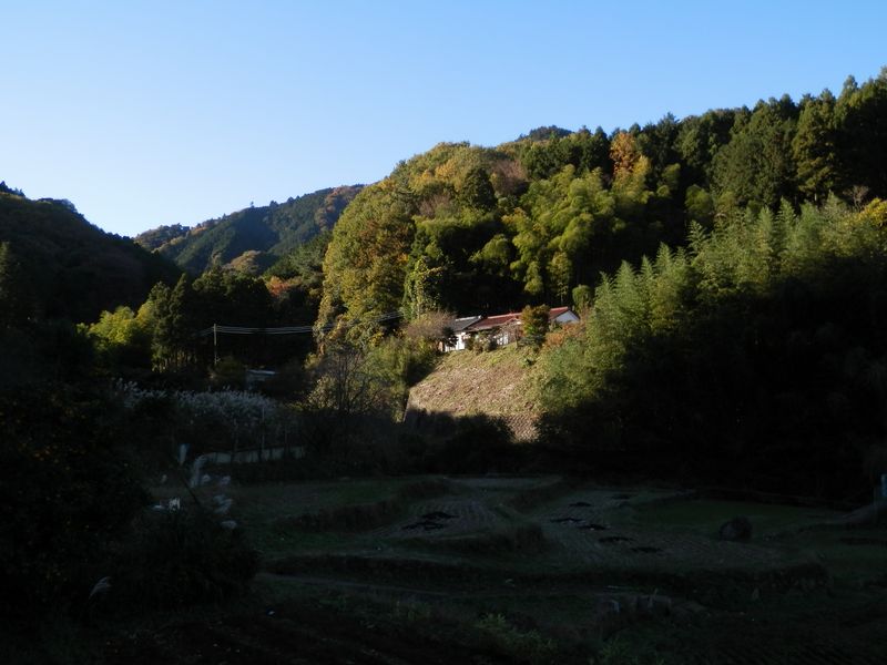 二ノ足林道より望む、鐘ヶ嶽の頭と棚田