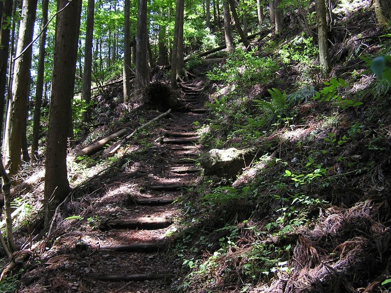 棒ノ折山から岩茸石山 -- 気合を入れて、急登に取り掛かる