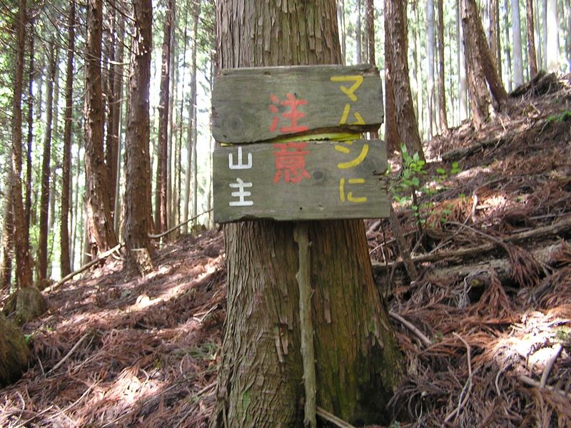 棒ノ折山から岩茸石山 -- 山主って誰だろう？