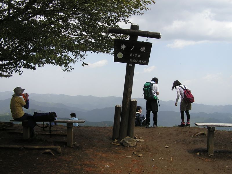 棒ノ折山から岩茸石山 -- 埼玉県の山名標