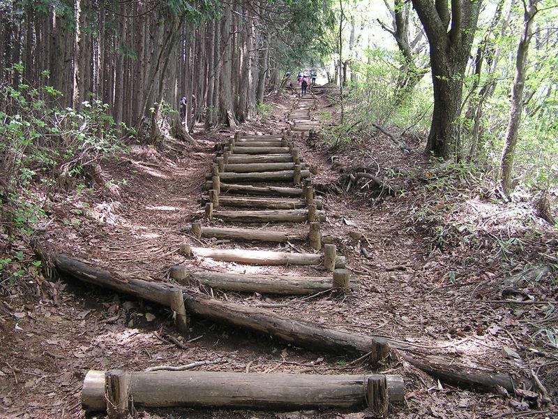 棒ノ折山から岩茸石山 -- 権次入峠から棒ノ折山に登る道