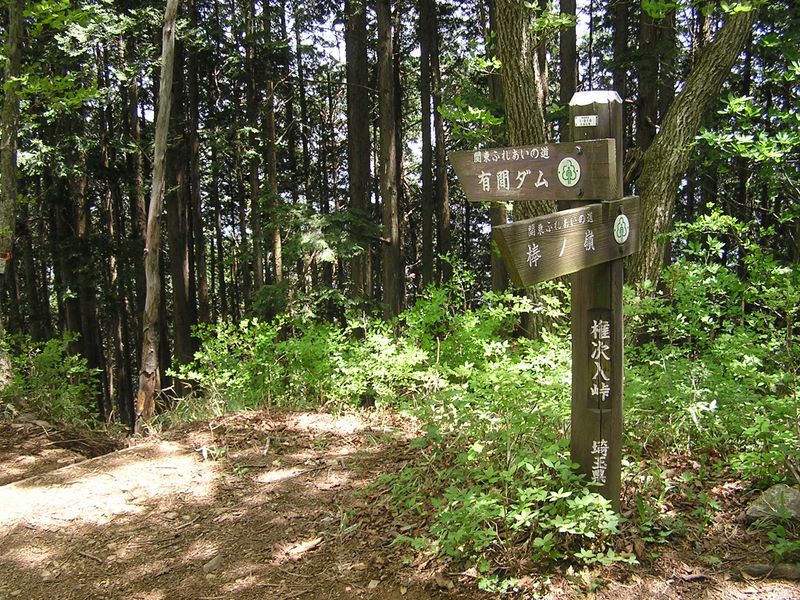 棒ノ折山から岩茸石山 -- 権次入峠