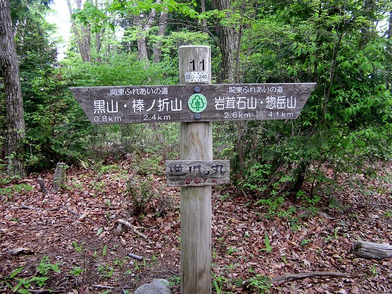棒ノ折山から岩茸石山 -- 逆川ノ丸を通過