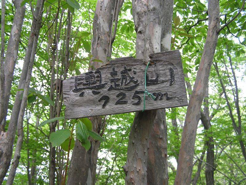 棒ノ折山から岩茸石山 -- 輿越山