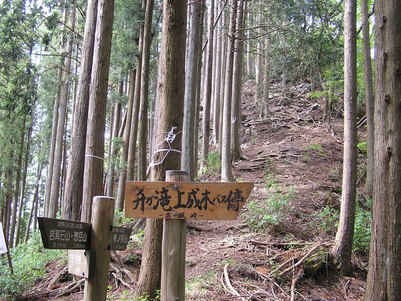 棒ノ折山から岩茸石山 -- 名坂峠に戻る