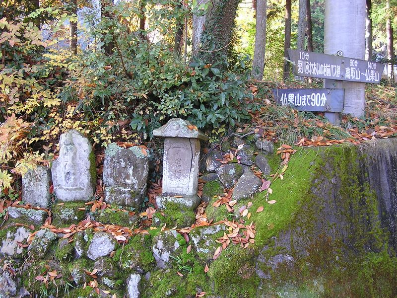 ここを左折して少し下る