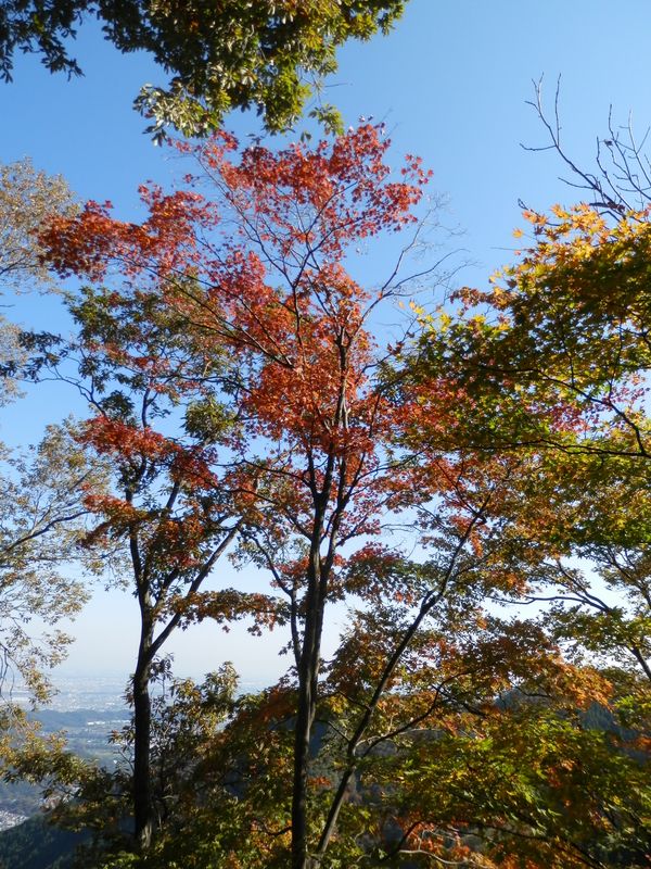 まもなく高取山