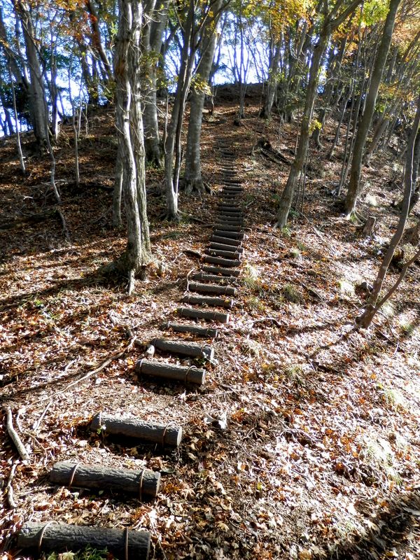 高取山 -- 土止め階段を下から見上げる