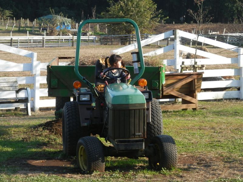仏果山・高取山 -- 動かなくてもすわり心地は抜群