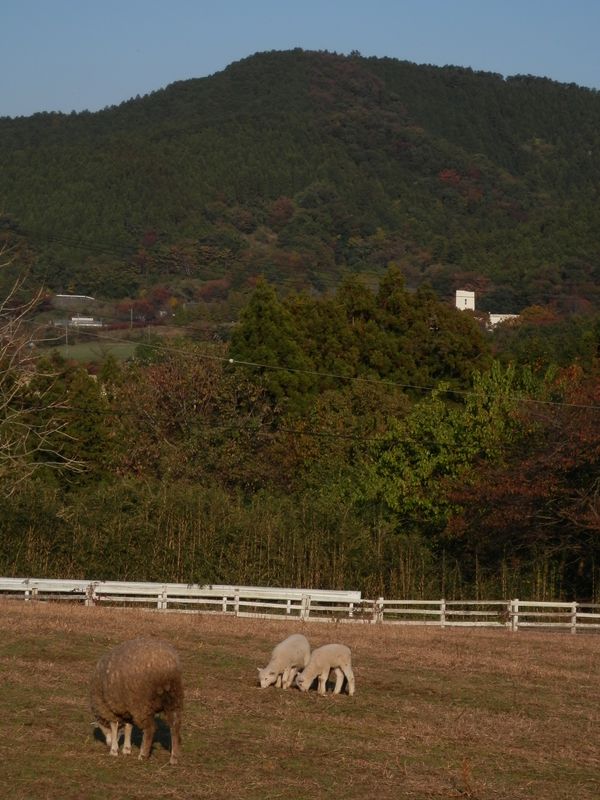 仏果山・高取山 -- ではまた