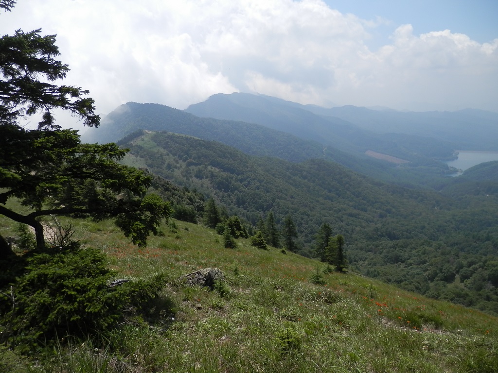 雷岩より大菩薩峠に向かって南に下る