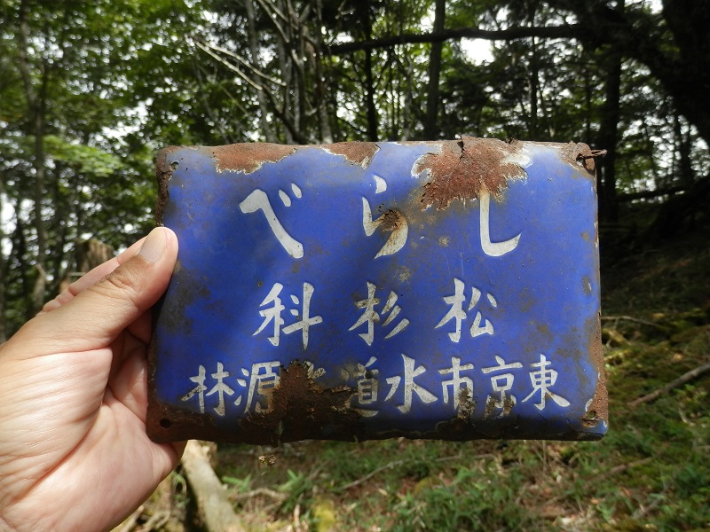 しらべ」の名札