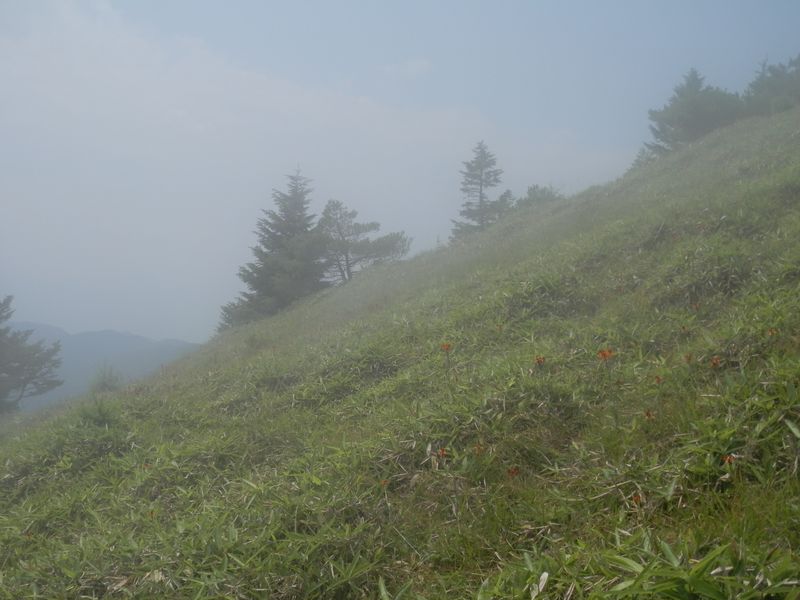 熊沢山にまで押し寄せてきたガス