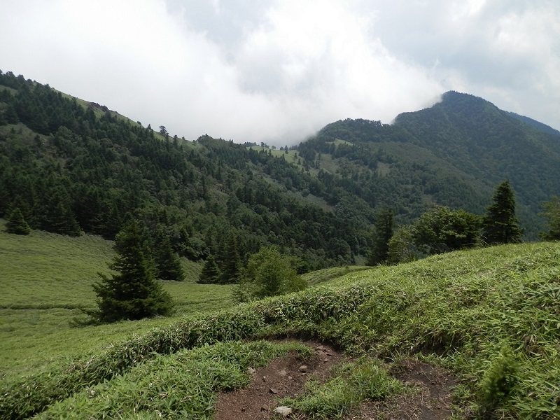 小金沢連嶺の東面もガスがいっぱい