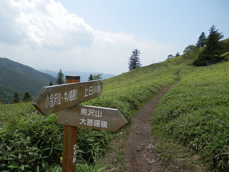 小屋平からの道を右から合わせる