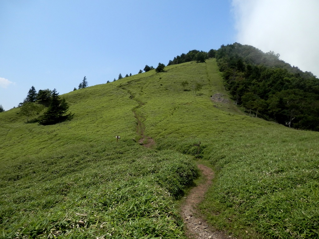 石丸峠より、熊沢山を振り返る