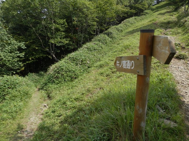 これより牛ノ寝通り