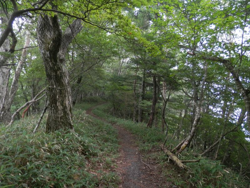 ひんやりしたガスの立ち込めた牛の寝通り