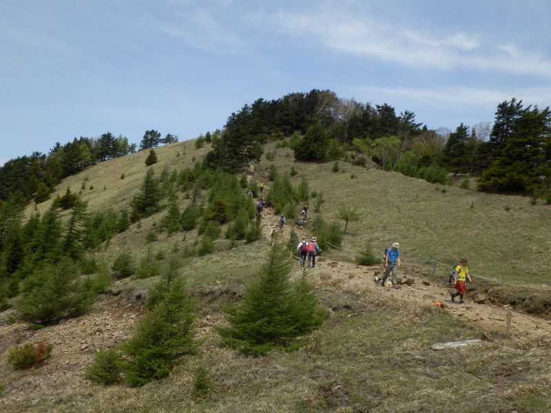 犬を連れて歩く人々