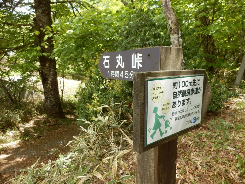 大菩薩湖北岸へ行くには、この道から