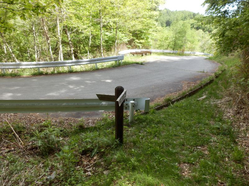 砥山林道に飛び出す