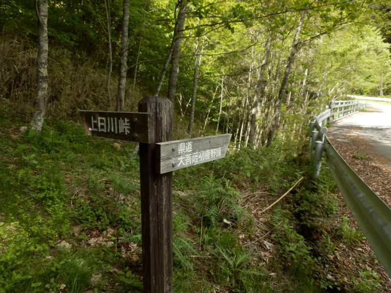 大菩薩湖東岸へ行くには、林道をこちらへ