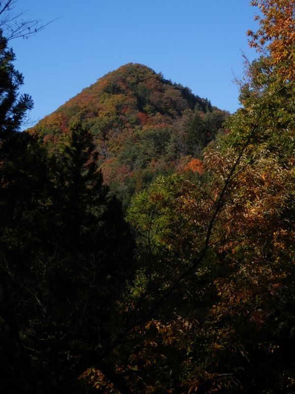 デン笠・甚之函山 -- 行く手に金ピラ山とデン笠山稜