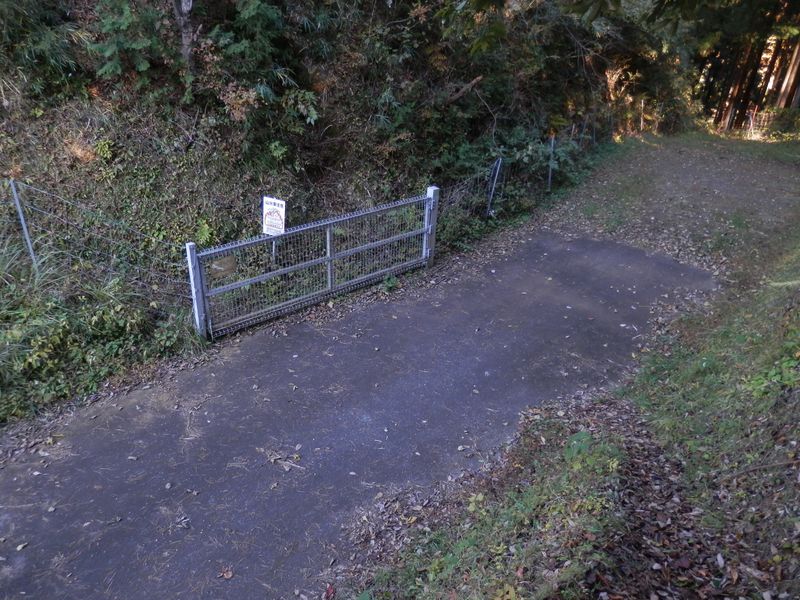 デン笠・甚之函山 -- 桜井峠