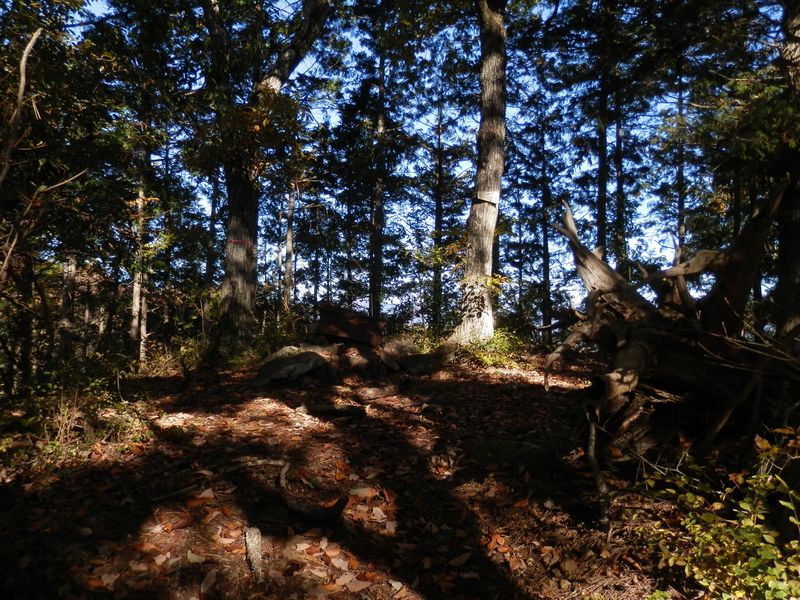 デン笠・甚之函山 -- 金ピラ山