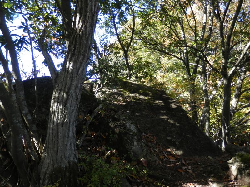 デン笠・甚之函山 -- この大きな岩は、南側を巻くことができる