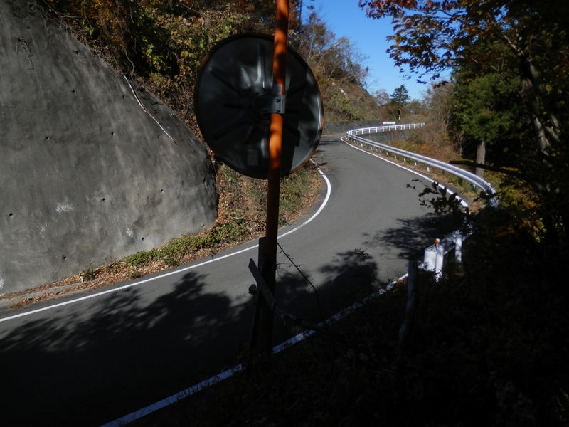 デン笠・甚之函山 -- 大地林道を横切る