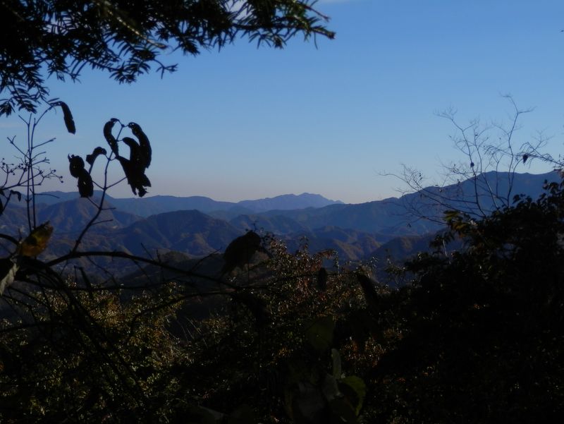 大丸より、焼山（右）と相州アルプス（中央）を望む