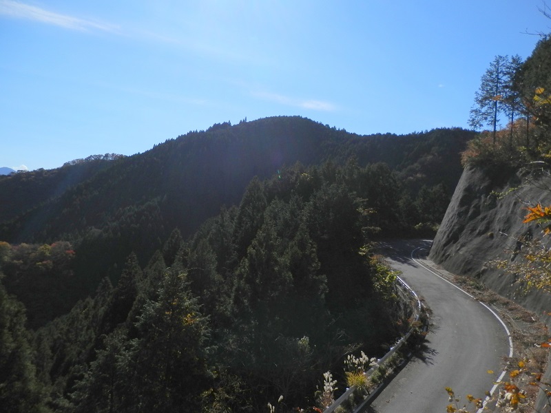 甚之函山と大地林道