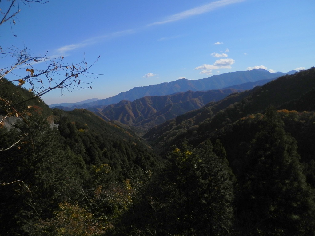大地林道の上より、丹沢主脈を望む
