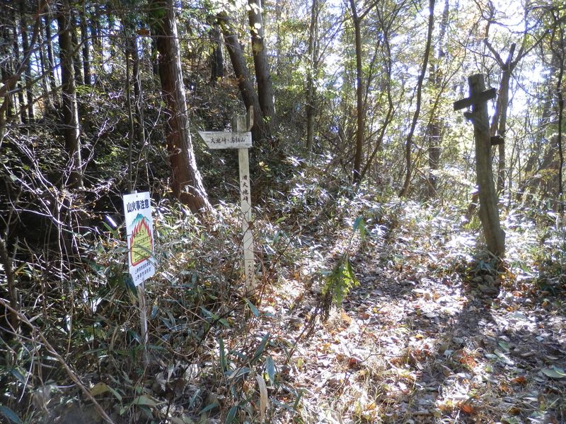 デン笠・甚之函山 -- （旧）大地峠