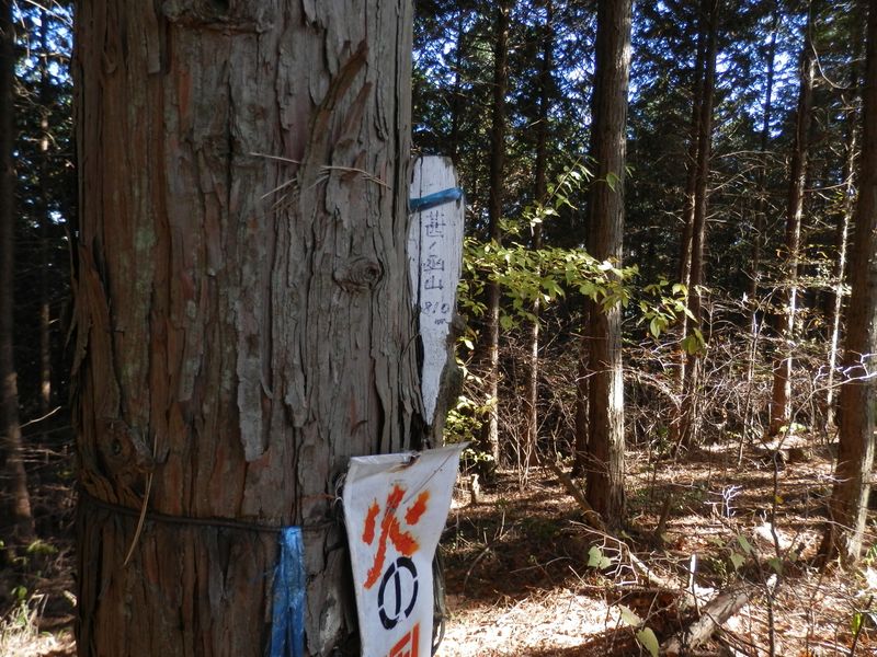 デン笠・甚之函山 -- 朽ちた標柱の断片に「甚之函山」の文字