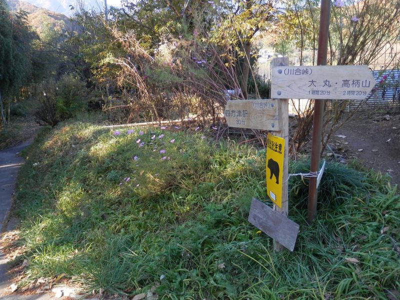 峠には見えないけど、ここも広い意味で川合峠？