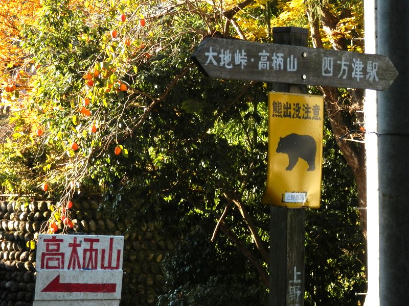 ここを正面に進み、犬嶋神社で最後の道草を食う