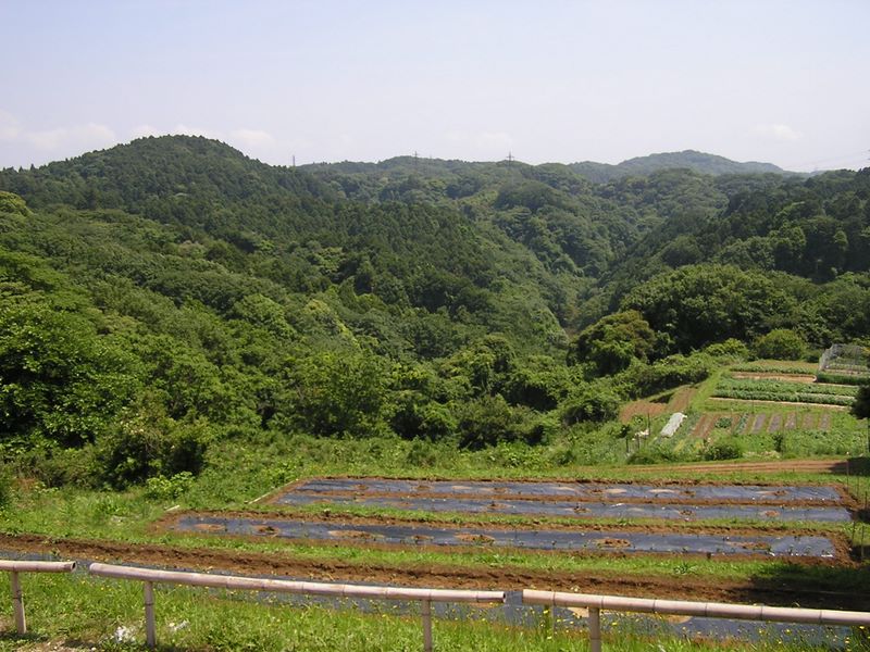 円海山・大丸山 -- 瀬上池がよく見えるというポイント