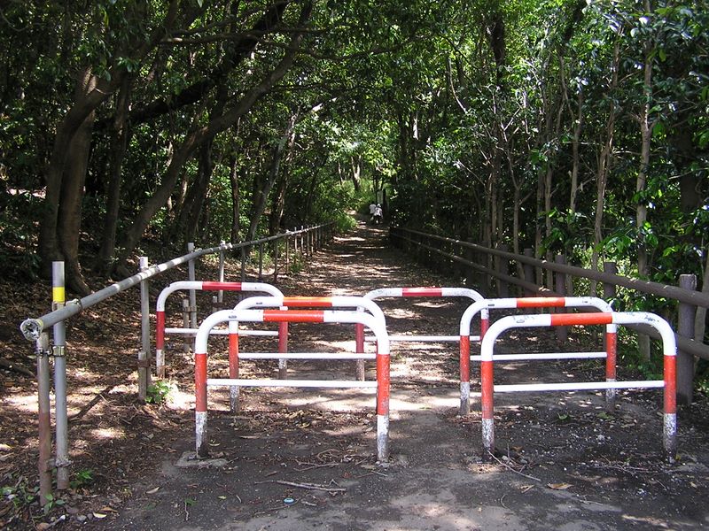 円海山・大丸山 -- これより遊歩道。安心して歩ける