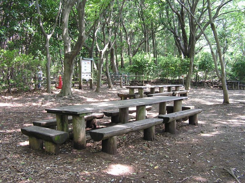 円海山・大丸山 -- いっしんどう広場