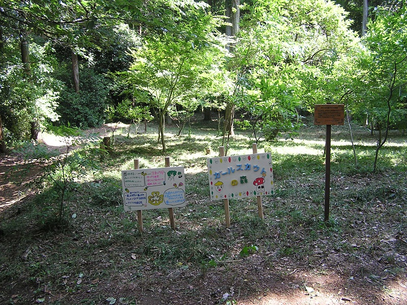 円海山・大丸山 -- ガールスカウトの森とある