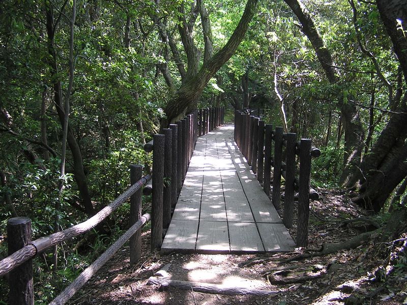 円海山・大丸山 -- ここは痩せた急峻な尾根