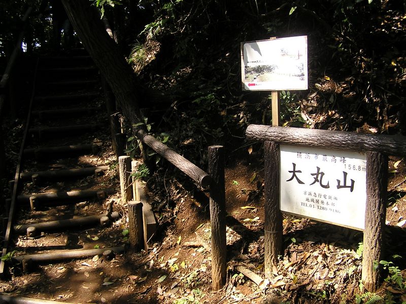 円海山・大丸山 -- 大丸山へは、ここから階段を昇る